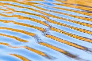 Abstracts Gallery: Rippled Reflections