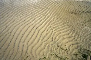Ripples Prints: Ripples - at low tide, North Sea, Northumberland National Park, England