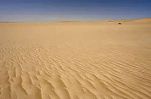 Ripples Prints: Ripples of sand forming patterns on the ground - Dune Fields - Namib Desert - Namibia - Africa