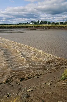 Tides Prints: RIver Bore FG 6930 Tidal bore in a river