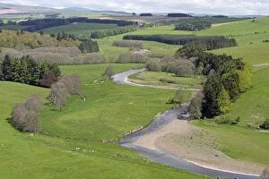 River Coquet - Beside Holystone, with Cheviot hills in background