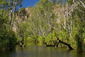 Images Dated 21st June 2008: River in the desert - a permanent river cuts its ways through a sandstone plateau in the desert in