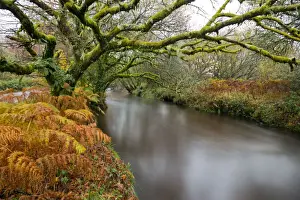 Kernow Prints: River Fowey - Cornwall - UK
