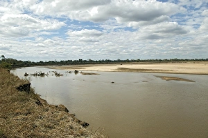 Images Dated 7th July 2004: River Luangwa - South Langwa valley - Zambia