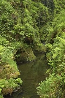 River Lyd - Lydford Gorge