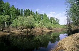 River Negustyah in middle current. Dark water is coloured by peat