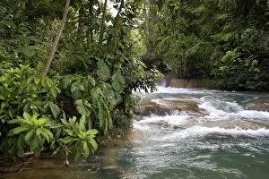 River - running through forest
