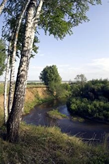 River Sinara bend - birch trees on the high bank