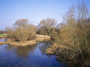 Images Dated 15th June 2006: River Stout - in winter Sturminster Marshall Mill, Dorset, UK