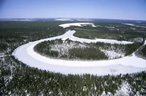 Meandering Prints: River Taz winter aerial, North Siberia Helicopter view over frozen river Taz and lakes (old river-beds)