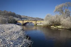 Cannock Chase Prints: River Tent flowing under the Wolseley bridge on a beautiful winters morning - Rugeley - Staffordshire - England