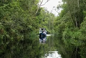 River with tourist boat at Tanjung Puting national park
