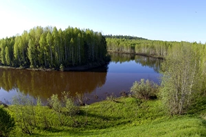 Images Dated 17th July 2008: River Tura in North Ural Mountains - a typical large Siberian river with brown waters