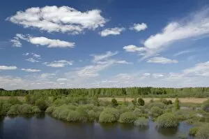 Images Dated 17th July 2008: River Tura in North Ural Mountains - a typical large Siberian river with brown waters