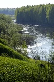 Images Dated 17th July 2008: River Tura in North Ural Mountains - a typical large Siberian river with brown waters