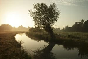 Images Dated 16th June 2006: River Windrush - early morning sun
