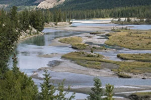 Alberta Gallery: Rivers run through a lowland section of