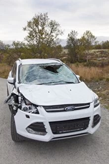 Damaged Gallery: Roadkill Moose Car destroyed by moose Norway