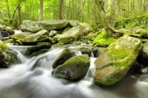 Images Dated 8th August 2011: Roaring Fork River, Roaring Fork Motor Nature