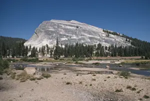 Roche Moutonnee Glacial Feature Tuolumne, Yosemite National Park, USA