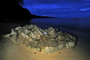 Rock on the beach in the evening of Masoala National Park