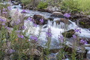 Rock Creek in the Pioneer Mountains of