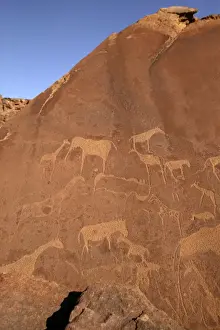 Rock Engravings. Twyfelfontein. Namibia Betweeen -5600 BC et _2500 BC