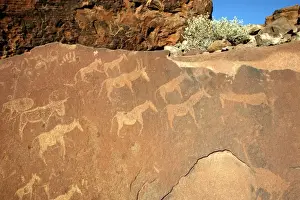Rock Engravings. Twyfelfontein. Namibia Betweeen -5600 BC et _2500 BC