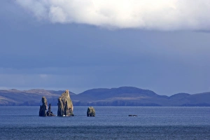 Images Dated 27th May 2007: Rock formation - sea stacks of The Drongs amidst the ocean