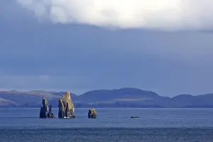 Sea Stacks Prints: Rock formation sea stacks of The Drongs amidst the ocean Northmavine