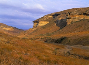 Images Dated 8th March 2007: Rock formations golden coloured cliffs and grassland in early morning light Golden Gate Higlands