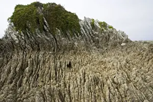 Layers Prints: Rock formations - Oligocene tilted folded vertical limestone rocks on coast of Kaikoura - South Island - New Zealand