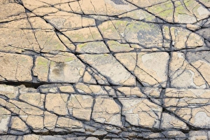Patterns Collection: Rock Patterns - Yesnaby Cliffs - Mainland Orkney LA005156