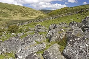 Rock Strewn Moorland in West Dart Valley with Wistmans Wood in background