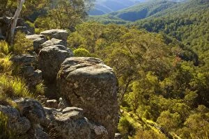 Images Dated 7th October 2008: Rocks and forest - from the rim around Ebor Falls