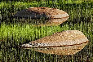 Yosemite Collection: Rocks and grass at first light, Tuolumne Meadows, Yosemite National Park
