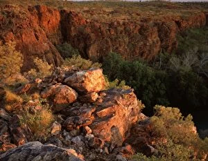 Boodjamulla Gallery: Rocks above Lawn Hill Gorge.in early morning light