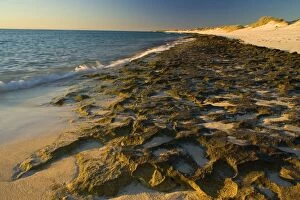 Images Dated 26th July 2008: Rocky ledges and beach - water washes over exposed ledges of Ningaloo Reef at incoming tide in