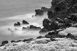 Exposure Prints: Rocky shoreline covered in Sesuvium