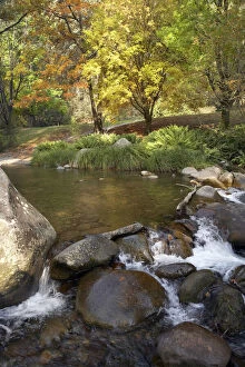 Deciduous Gallery: Rocky Valley Creek and Autumn Color, Bogong
