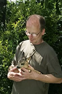 Roe Deer - man holding fawn