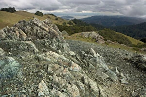 ROG-12203 Serpentine outcrop on Mount Tamalpais (mt. Tam)