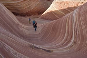 ROG-12227 The Wave - an extraordinary area of sinuous eroded banded sandstone rocks