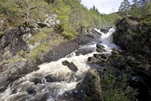 Rogie falls at Blackwater River