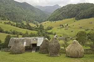 Jecan Gallery: Romania, Brasov, Bran, Countryside landscape