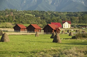 Images Dated 9th June 2010: Romania, Carpathian mountains, Transylvania
