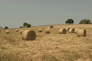 Romania, Sibiu, Hay Harvest