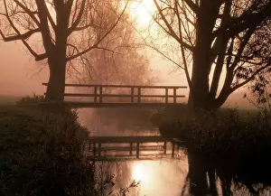 Bridge Prints: Romantic bridge spanning brook in morning mist Baden-Wuerttemberg, Germany