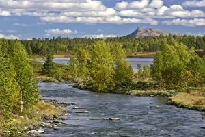 Rondane mountain scenery - with lake, river and patches of forest