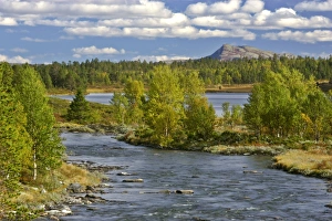 Rondane mountain scenery - with lake, river and patches of forest Rondane mountain scenery - with lake, river and patches of forest